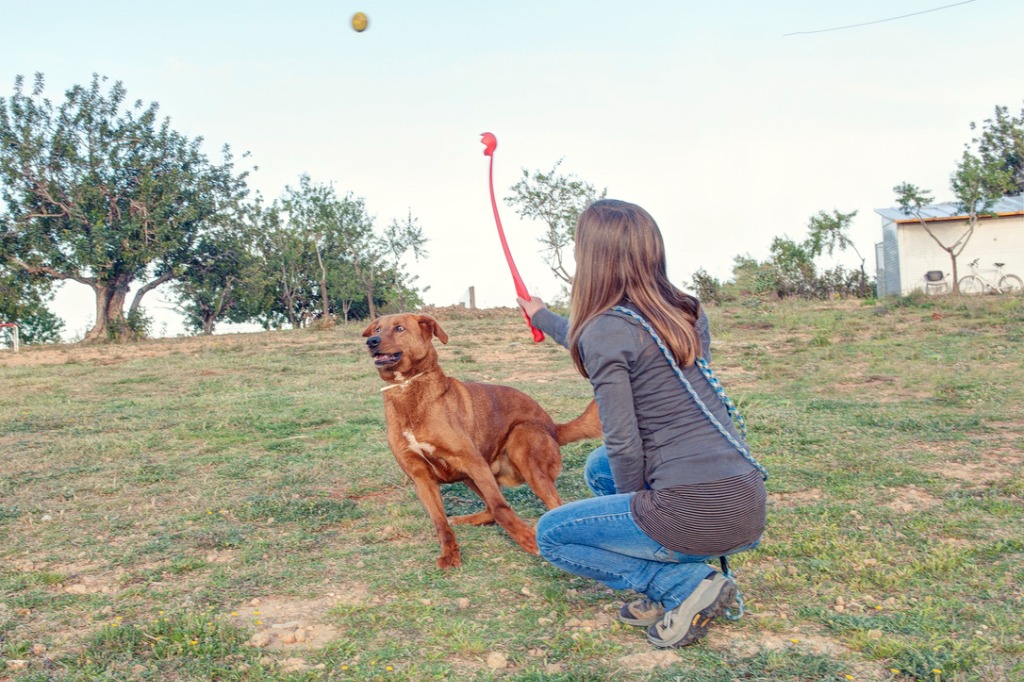Jugando con perro