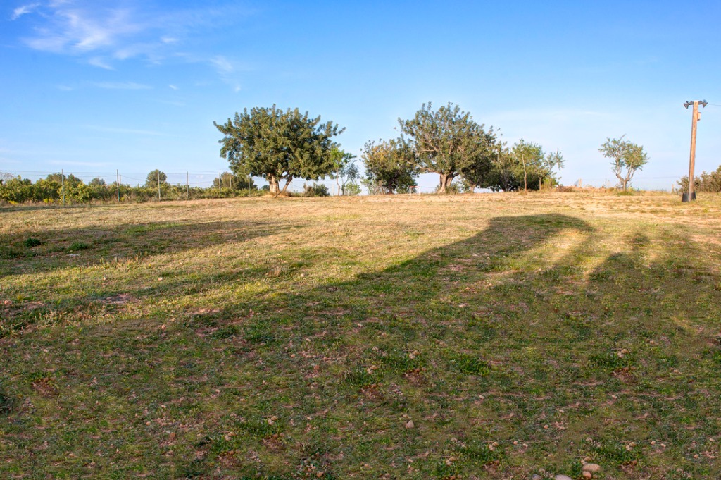 Terreno exterior
